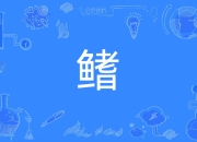 开云官方在线-鳍壻-开云官方在线